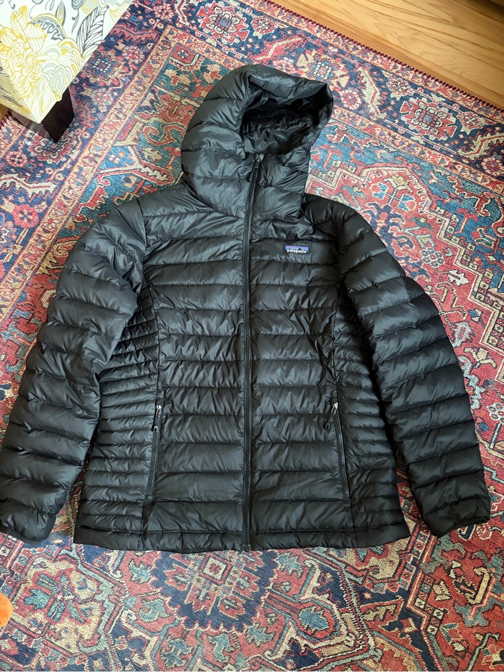 Patagonia Down Sweater Hooded Jacket
